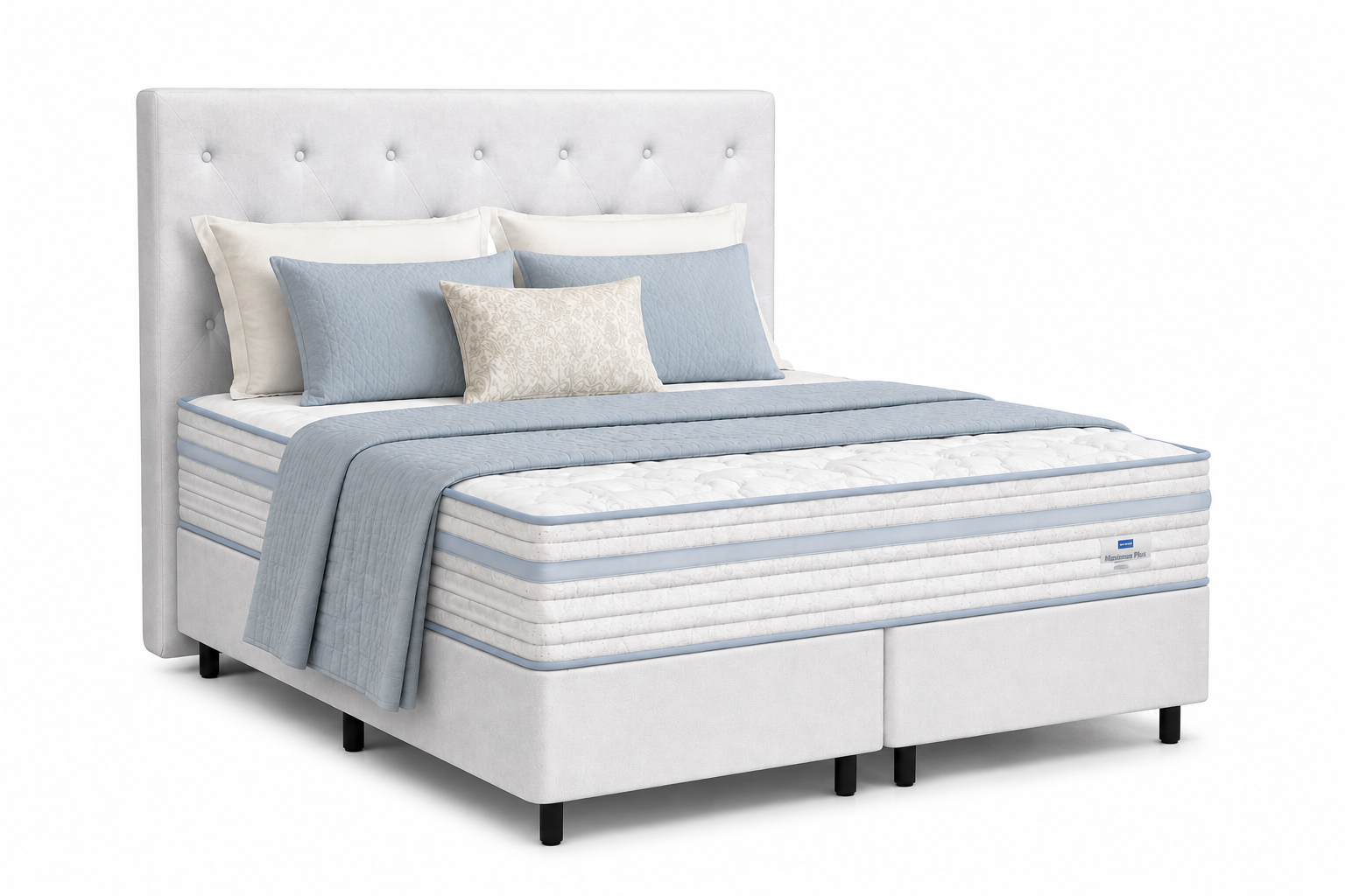 Maximus Plus | Linha Bronze